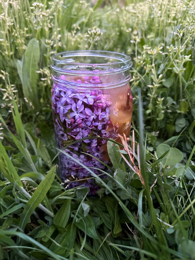 Indie Folk Herbal Promo 1 – Melody Markel